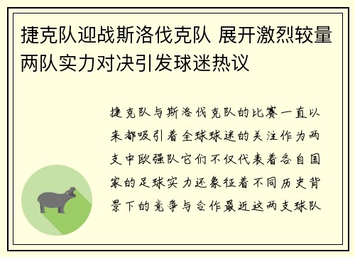 捷克队迎战斯洛伐克队 展开激烈较量两队实力对决引发球迷热议